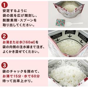 非常食 防災食 アルファ米 10食 備蓄 ご飯...の詳細画像5