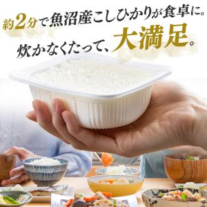 パックご飯 150g 3食 新潟県産 こしひか...の詳細画像4