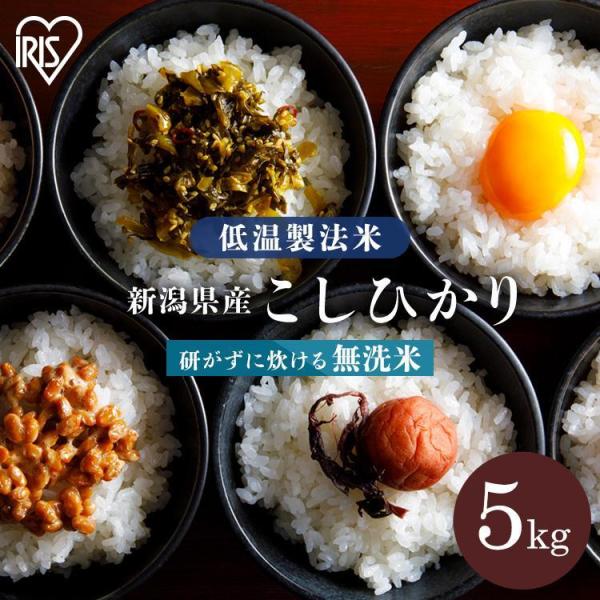 米 5kg 送料無料 無洗米 5kg 新潟県産 こしひかり 低温製法米 精米 お米 5キロ コシヒカ...