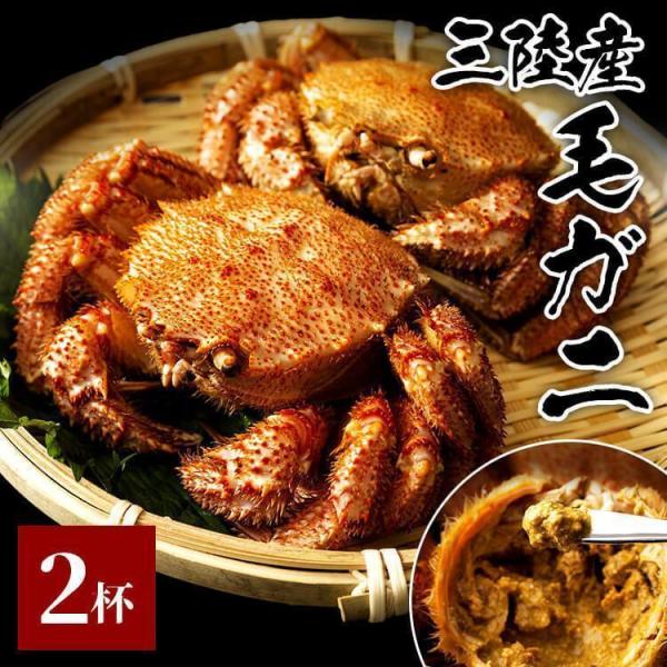 御中元 お中元 2024 毛ガニ 三陸産 冷凍  ギフト ボイル毛ガニ 250g 2尾セット カニ味...