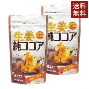 2袋 ココア 生姜ココア しょうがココア 生姜純ココア 110g×2   あじげん