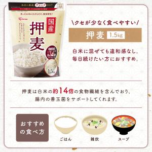 押麦 1.5kg 押し麦 胚芽押麦 食物繊維 ...の詳細画像4