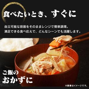 レトルト食品 常温保存 レトルト 詰め合わせ ...の詳細画像3