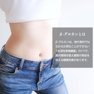 おかゆ レトルト お粥 250g もち麦 発芽...の詳細画像4