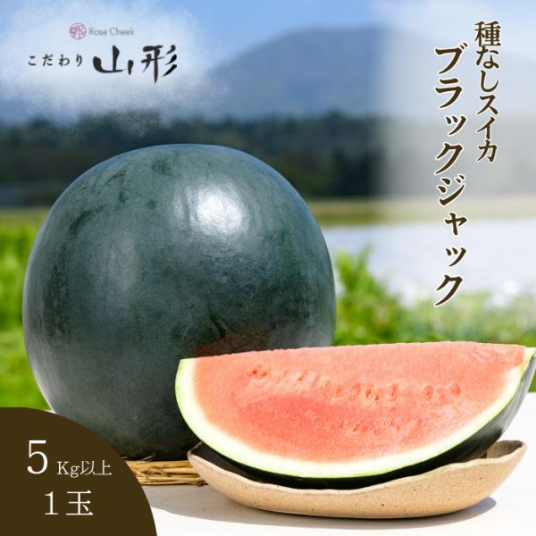 【予約開始 7月下旬頃順次発送予定】スイカ 中玉 ブラックジャック 山形県産 村山 5kg以上 種な...
