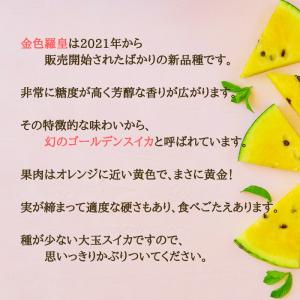 【予約開始 7月下旬頃順次発送予定】スイカ 中...の詳細画像2