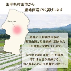 【予約開始 7月下旬頃順次発送予定】スイカ 中...の詳細画像3