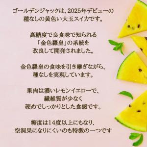 【予約開始 7月下旬頃順次発送予定】スイカ 大...の詳細画像2