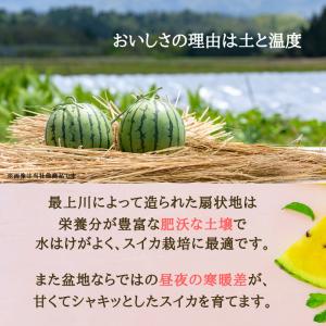 【予約開始 7月下旬頃順次発送予定】スイカ 大...の詳細画像4