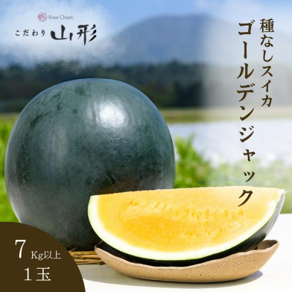 【予約開始 7月下旬頃順次発送予定】スイカ 大玉 ゴールデンジャック 山形県産 村山 7kg以上 種...
