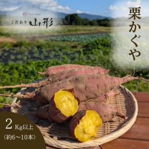 2026年10月上旬以降順次発送】さつまいも 栗かぐや 山形県産 村山 2kg