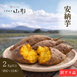 2026年10月上旬以降順次発送】さつまいも 栗かぐや 山形県産 村山 2kg