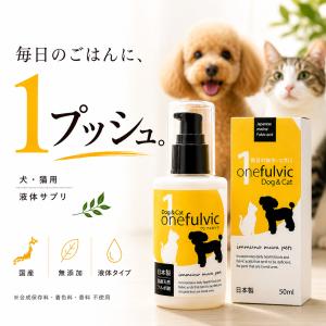 ロイヤルカナン（ROYAL CANIN） 犬 エイジングケア ドライ 3kg : 和泉