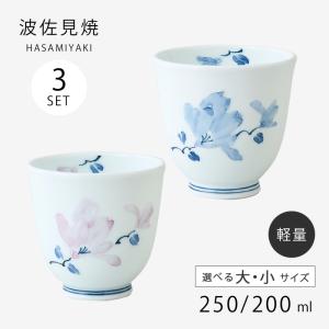 澤田痴陶人工房 急須 染付 伊万里陶苑 痴陶人 約350cc 新品 【CF-180