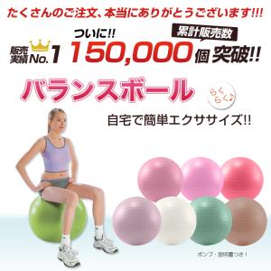 【送料無料】【エクササイズガイド付】 バランス...の詳細画像1