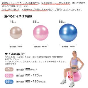 【送料無料】【エクササイズガイド付】 バランス...の詳細画像3