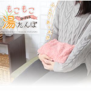 【送料無料】コードレス 電気 湯たんぽ 蓄電式...の詳細画像1