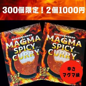 マグマ スパイシー カレー 2個セット 激辛 辛口 レトルトカレー 鹿児島 黒酢 国産 九州産 牛肉 希少部位使用 期間限定 お取り寄せ  本格 スパイス カレー