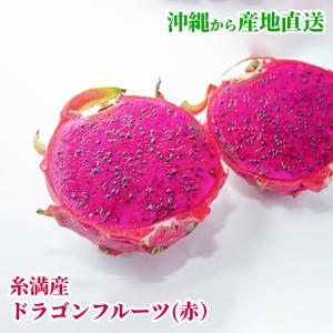 糸満産ドラゴンフルーツ　大玉２ｋｇ（赤）４玉〜６玉　　沖縄県産　ピタヤ