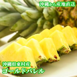 沖縄県東村産ゴールドバレル　２玉　３，５ｋｇ　１玉１，８ｋｇ以上　