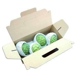 市場直送　沖縄県産アテモヤ　１ｋｇ　３〜５玉　化粧箱入り