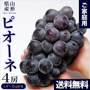 （オープン記念）山形県産 ピオーネ 4房 種なし 種無し ぶどう 産地直送 取り寄せ ご家庭用 訳あり(送料無料)