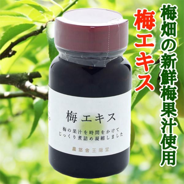 梅エキス 65g（送料無料） 梅農家の安心梅 梅肉