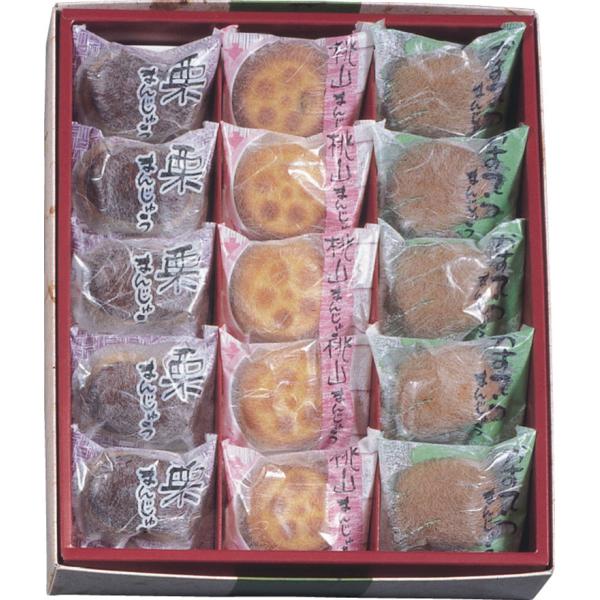 河内駿河屋 銘菓撰 B1045524 常温（送料無料）直送 贈答 ギフト お中元 御中元 お歳暮 御...