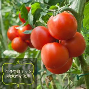 無塩トマトジュース ぎふ飛騨産 125ml×1...の詳細画像4