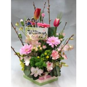 初節句 桃の節句 ひな祭り 雛 おひなさま 桃...の詳細画像2