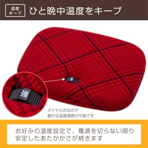 電気あんか 平形 レッド チェック 温度調節 ...の詳細画像2