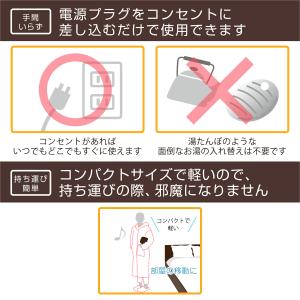 電気あんか 平形 レッド チェック 温度調節 ...の詳細画像3