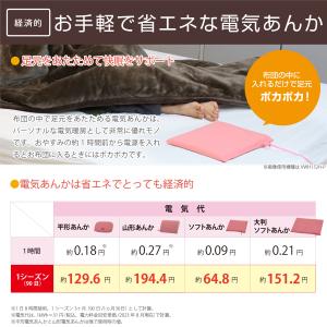 電気あんか 平形 レッド チェック 温度調節 ...の詳細画像4