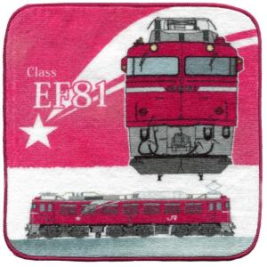 EF81 今治産 タオルはんかち