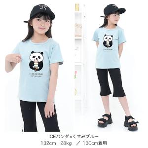 tシャツ 綿100% 半袖 子供服 キッズ ジ...の詳細画像3