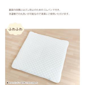 マルチカバー あったか 毛布 フランネル 敷き...の詳細画像3