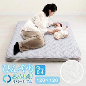グラントイーワンズ Re.B5 テラミーシーツ 付属品付 3色選べる