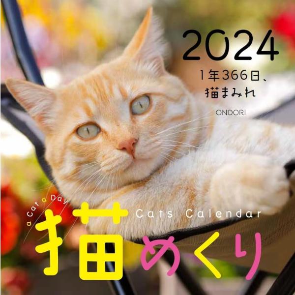 猫めくり 2024年 カレンダー 台座付き 日めくり ネコ 猫のカレンダー 令和6年 年間 かわいい...