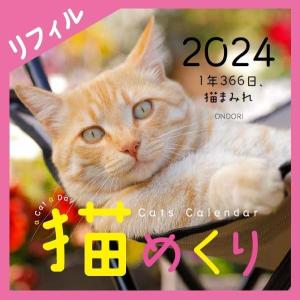 猫めくり リフィル 2024年 カレンダー 日めくり ねこめくり ネコ ねこ 猫のカレンダー 年間 れいわ 令和6年 かわいい 2024年度 calendar シーオーツー CK-C24-02