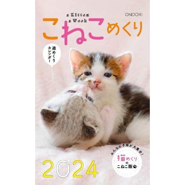 2024年 カレンダー 卓上 こねこめくり ねこめくり 猫 ねこ calendar 2024年度 年...