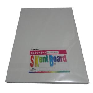 エスケント キャンバスボード 厚口ダブル 四切 5枚 431044