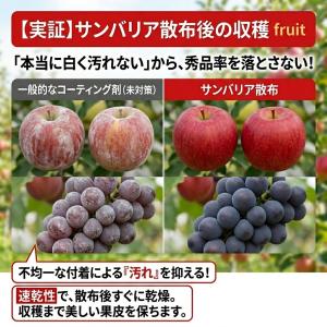 高温障害 紫外線対策 サンバリア1.0kg 葉...の詳細画像2