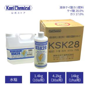 液体けい酸カリ肥料 KSK28 水稲 稲作 米 一等米比率向上 登熟向上増収（粒張り向上）倒伏軽減高温障害（胴割れ・乳白）対策 タンパク抑制