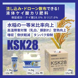 液体けい酸カリ肥料 KSK28 水稲 稲作 米...の詳細画像1