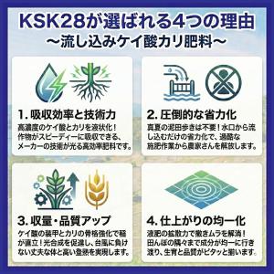 液体けい酸カリ肥料 KSK28 水稲 稲作 米...の詳細画像2