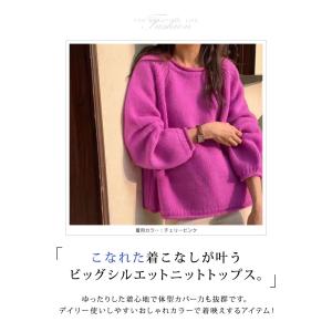 ニットトップス レディース 秋 冬 秋冬 ニッ...の詳細画像1