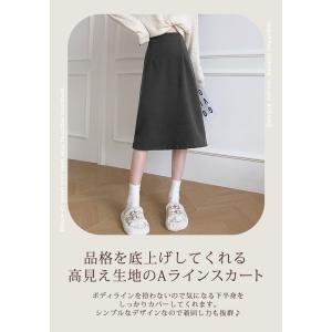 スカート レディース 秋 冬 秋冬 黒 Aライ...の詳細画像1