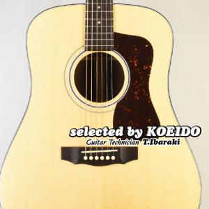 Guild USA D-40 Traditional NAT【ちょい傷限定特価】(selected by KOEIDO)｜koeido1