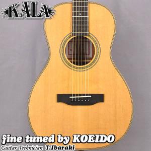 KALA アコースティックギター KA-GTR-PLR初心者 入門用 カラ パーラーサイズ