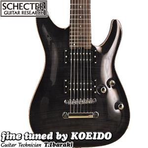 SCHECTER バンドリ Collaboration Ave Mujica ドロリス 三角 初華